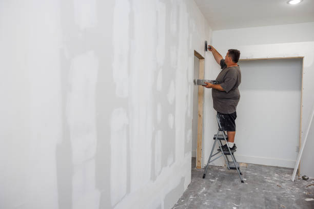 Best Attic Mold Removal  in Johnstown, PA