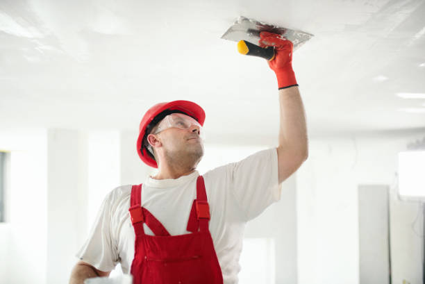 Mold Remediation for Vacation Homes in Johnstown, PA