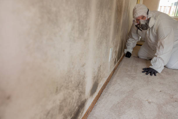 Best Commercial Mold Inspection  in Johnstown, PA